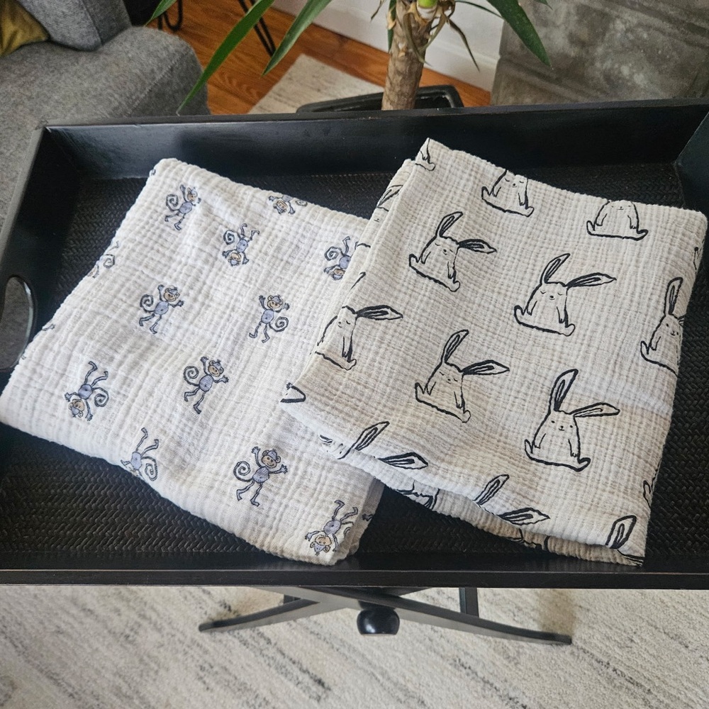 Bundle of two Aiden&Anais and Pottery Barn Baby swaddle blankets